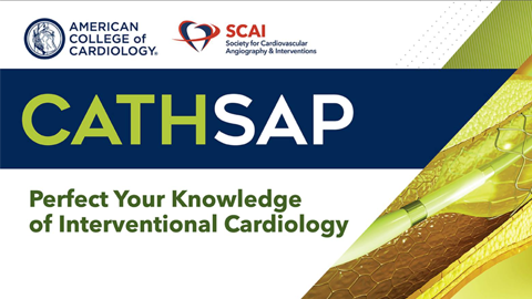 CathSAP Courses