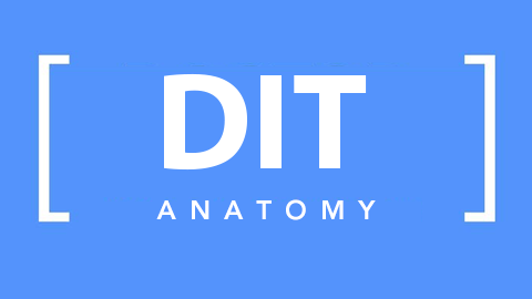 Doctor In Training Anatomy Videos