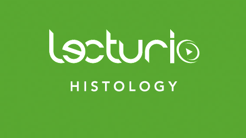 Lecturio Histology