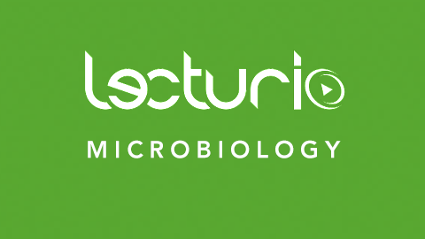 Lecturio Microbiology