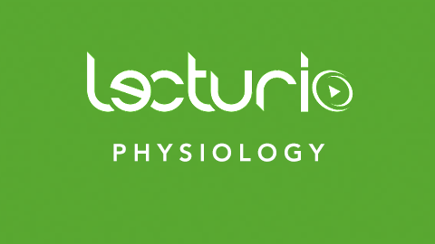Lecturio Physiology