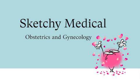 Sketchy Obstetrics and Gynecology